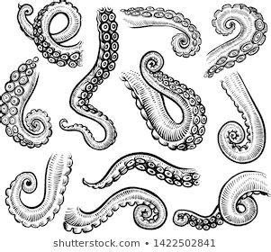 How are the arms of an octopus used? Kraken Images, Stock Photos & Vectors | Shutterstock ...