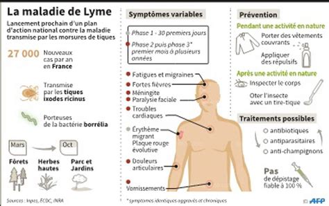 Sommaire maladie de lyme : Santé | Maladie de Lyme : tiques et polémique