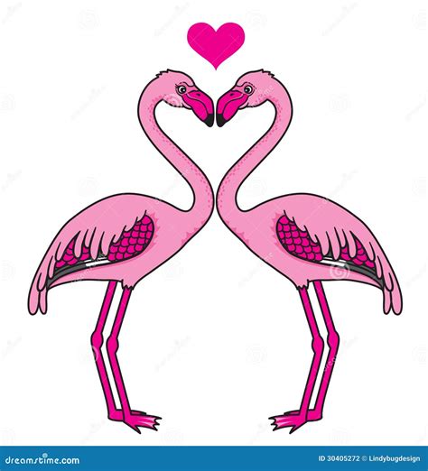 Two Pink Flamingos In Love Stock Vector Illustration Of Phoenicopterus