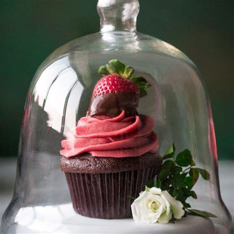 Vanilla cupcake with strawberry filling and chocolate icing. Chocolate Cupcakes with Strawberry Frosting are no doubt ...
