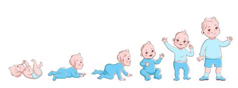 Baby Growth Process Life Cycle Stages Development Child From Newborn
