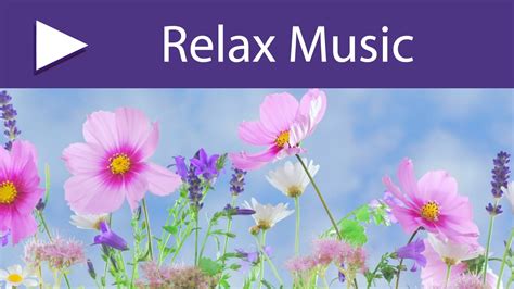 no stress calming music 3 hours relaxing meditation music to get rid of anxiety youtube