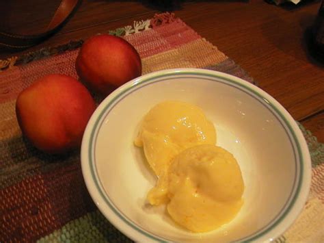 Enjoy two bites for less than 100 calories! Diabetic Frozen Peach Yogurt Recipe - Food.com