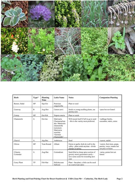The Best Herbs Plants Chart Ideas Herb Garden Planter