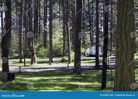 Forest Campgrounds Stock Photo Image Of Joint Trailer 42891738