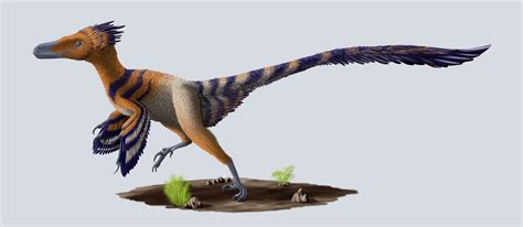 Velociraptor Mongoliensis Rpaleoart