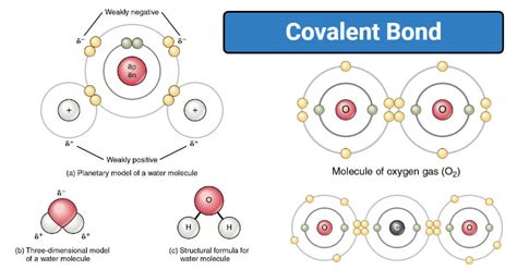 How To Draw Covalent Bonds