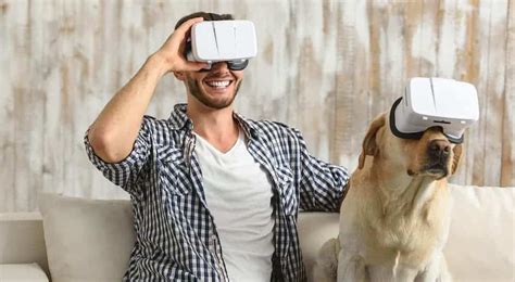 Tech For Your Pet Wearables Prudent Pet Insurance