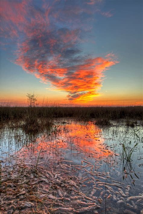 Free Images Landscape Sea Water Nature Horizon Marsh Swamp