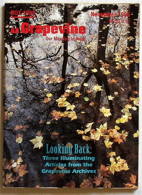 Aa Grapevine Magazine November 1995 Vol 52 No 6