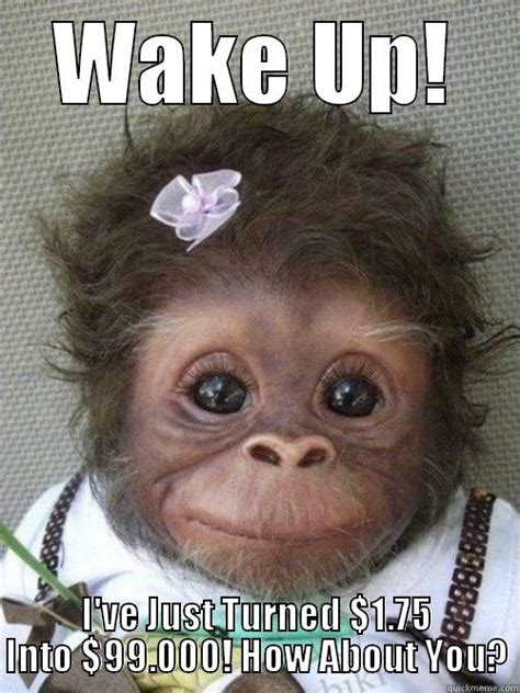 Wake Up Monkey Quickmeme