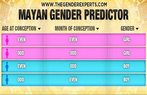 Gender Charts Calculators Use Accurate Gender Prediction Tools Artofit