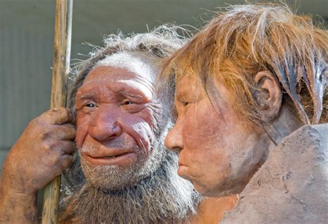 Humans And Neanderthals Had Hot Prehistoric Sex Earlier Than Thought
