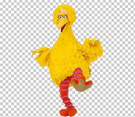 Big Bird Enrique Bert Sesame Street Characters Png Clipart Big Bird