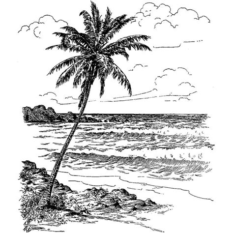 Hawaiian Waves 560p Landscape Drawings Beach Drawing Drawings