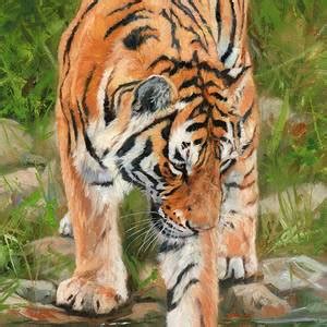Tiger Profile Painting By David Stribbling Pixels