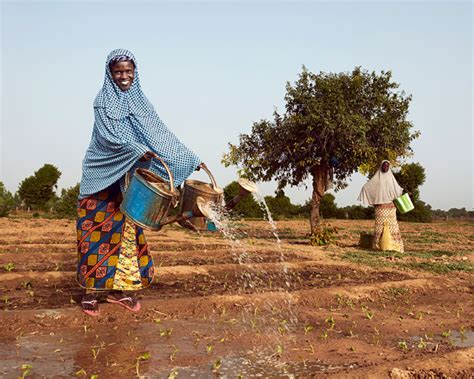 The Sahel Desertification Beyond Drought