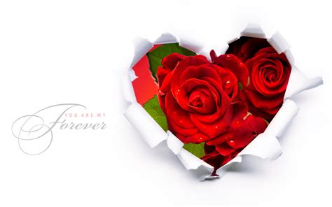 73 Red Rose Heart Wallpaper On Wallpapersafari