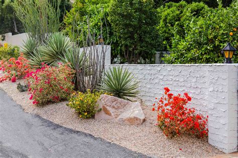 What Is Drought Tolerant Landscaping