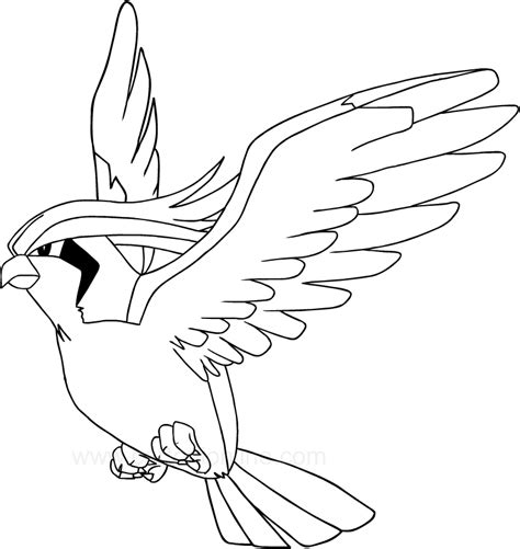 Disegno Di Pidgeotto Dei Pokemon Da Colorare