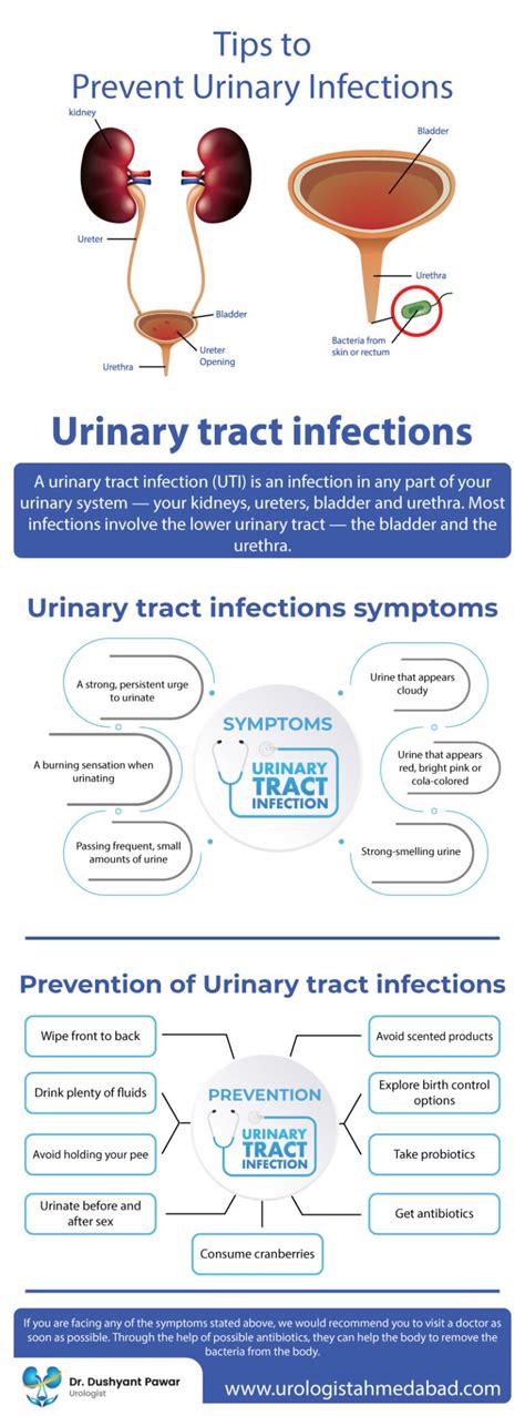 Tips To Prevent Urinary Tract Infections Uti