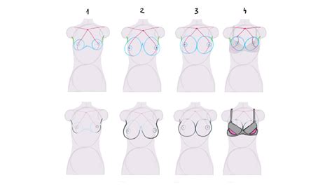 Hentai Breast Size Chart Telegraph