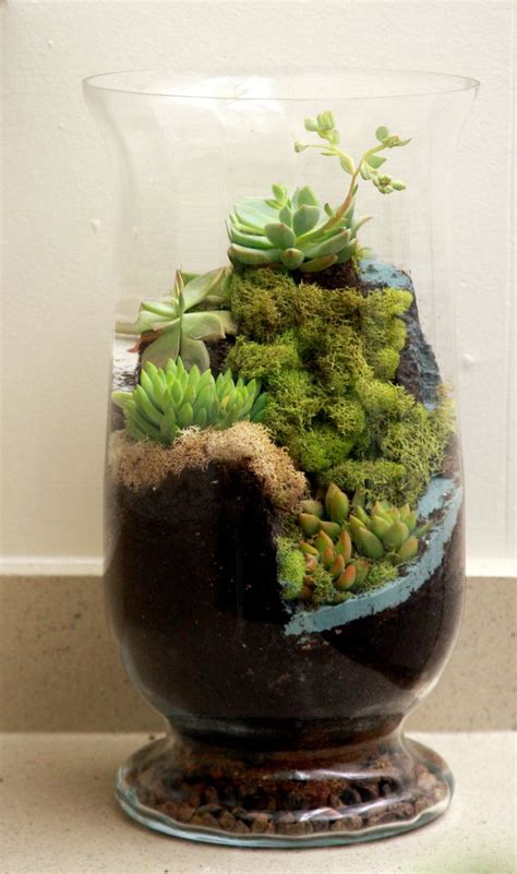 A new air plant terrarium for the holiday season. Another World Succulent Waterfall Terrarium. $100.00, via ...