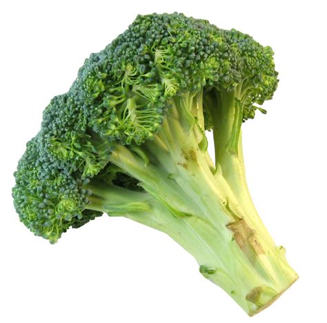 Fresh Broccoli Png Image Broccoli Fresh Broccoli Broccoli Cheddar