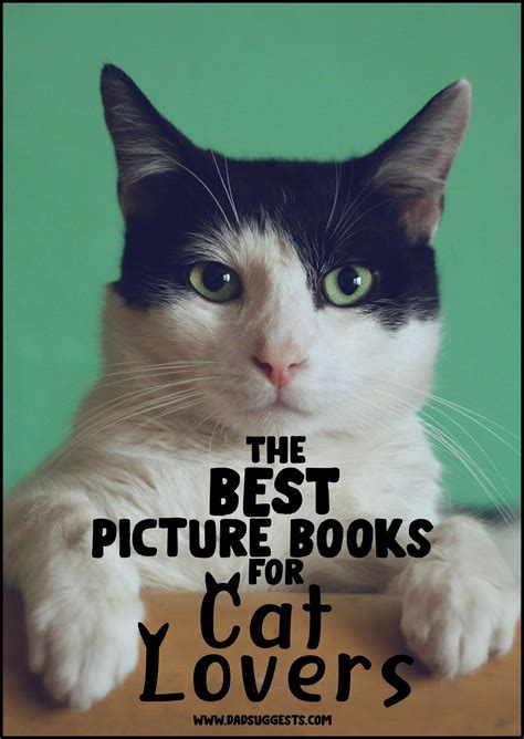 The Best Picture Books For Cat Lovers Dad Suggests