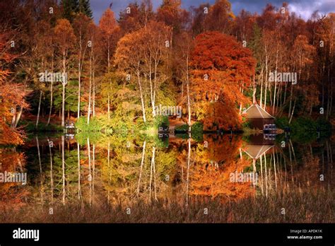 Loch Faskally In Autumn Hi Res Stock Photography And Images Alamy