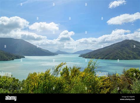 Queen Charlotte Sound New Zealand Stock Photo Alamy