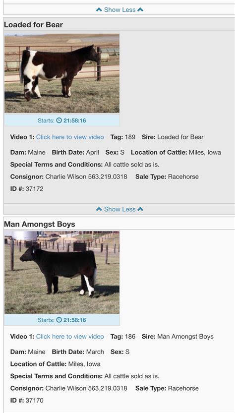 wilson kedley and paulsen cattle online sale ~ dec 28th ~ ia lautner farms