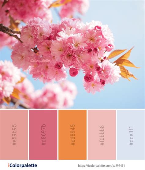 Pin On Blossom Color Palettes