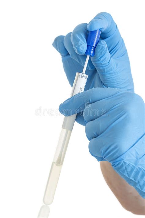 Dna Test Samplee For Biotechnology Investigation Stock Photo Image