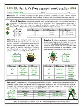 Dihybrid crosses and a cat called moo learn the steps to completing a dihybrid c. Monohybrid Crosses Worksheet - worksheet