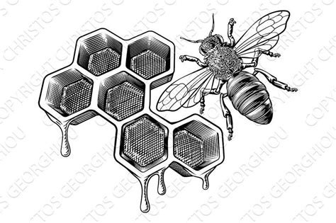 Honey Bumble Bee And Honeycomb Bee Drawing Honey Bee Drawing Bee Art