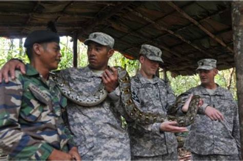 Malaysian Rangers Teach Us Soldiers Jungle Survival Tactics Article
