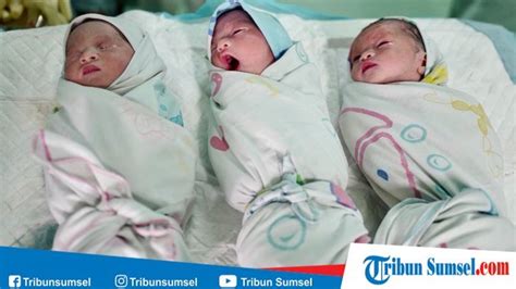 Peluang & cara dapatkan anak kembar dengan rawatan. Wanita Asal Palembang Melahirkan Bayi Kembar Tiga, Begini ...