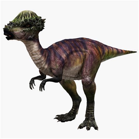 Scan Pachycephalosaurus Obj
