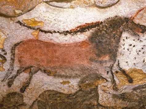 Great Red And Black Horse Of Lascaux Cave France Ancient Drawings