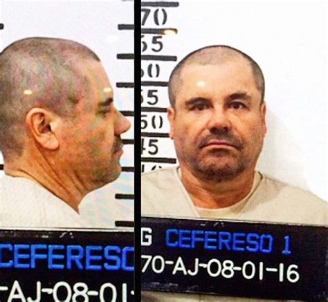 El Chapo Mugshot Famous Drug Lord Mugshots Fotos Policiales