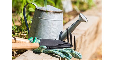 Sehr schön unser garten ist fer. Allgemeine Gartenarbeit im August - Bellandris Matthies