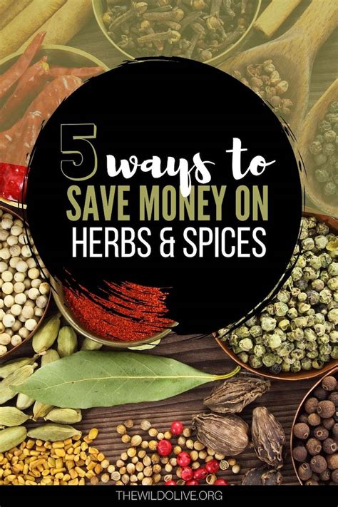 5 Ways To Save Money On Herbs And Spices The Wild Olive