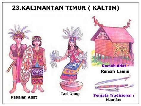 Kalimantan timur yang didiami oleh suku dayak membuat kebudayaan dan corak khas yang dimiliki juga berbau dayak. Pakaian, Tarian, Rumah Adat, Senjata Tradisional, dan ...