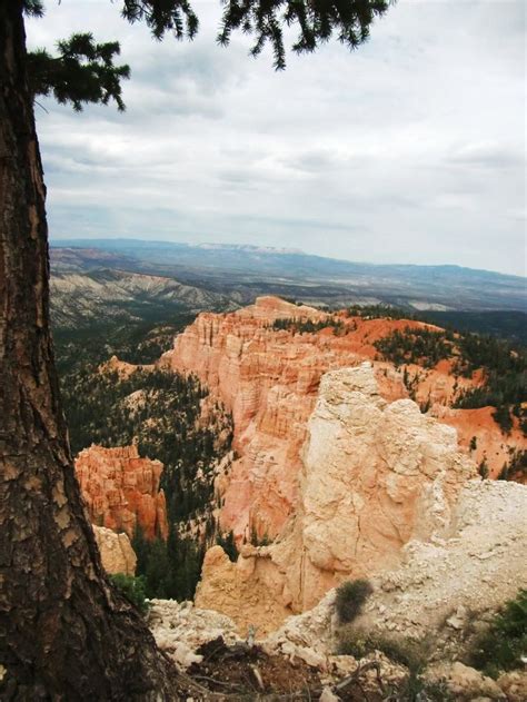 Bryce Canyon National Park In 2011 Photography By David E