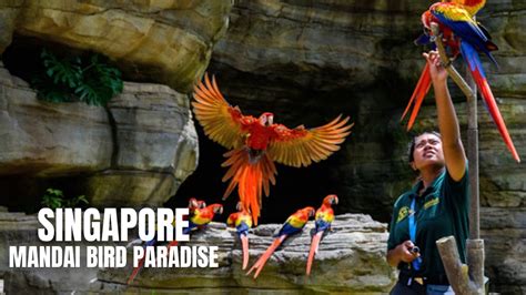 Singapore Mandai Bird Paradise Grand Opening Asias Largest Bird Park
