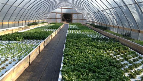 What we do sell is the best, easiest to follow diy information on how to build and operate your own profitable commercial aquaponics systems and greenhouses, from. Hands-on aquaponics workshops offered at Overton ...