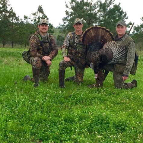 Turkey Hunt Gallery Shady Grove Outfitters Ready To Book Your Hunt