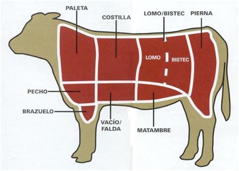 We did not find results for: Los 8 cortes de la carne de res. - La mejor carne del chaco