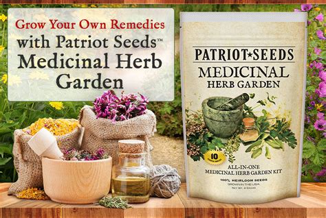 Medicinal Herb Garden Seed Kit 100 Heirloom Seeds Non Gmos My